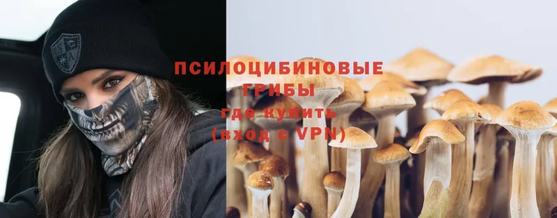 Псилоцибиновые грибы Magic Shrooms  Верхний Уфалей 